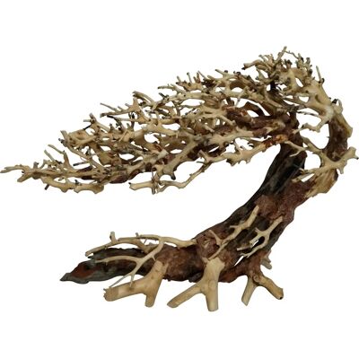 Arbre brésilien élégant - Décoration d'aquarium - Publicité Arbre brésilien élégant - Décoration d'aquarium - Publicité
