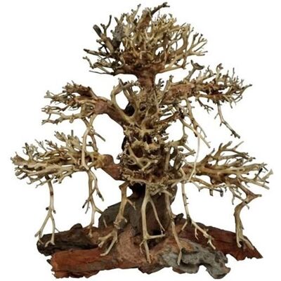 4FISH Alte Bonsai Wurzeln - Aquarium Dekoration 4FISH Alte Bonsai Wurzeln - Aquarium Dekoration