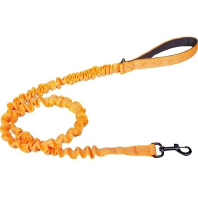 Companion Ø2,5cm x 120cm Elastisches Hundeleine Companion Ø2,5cm x 120cm Elastisches Hundeleine