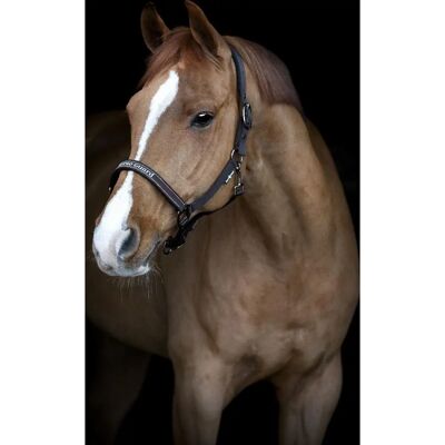 HorseGuard Sandra Halter After Dark - Pferdehalfter HorseGuard Sandra Halter After Dark - Pferdehalfter