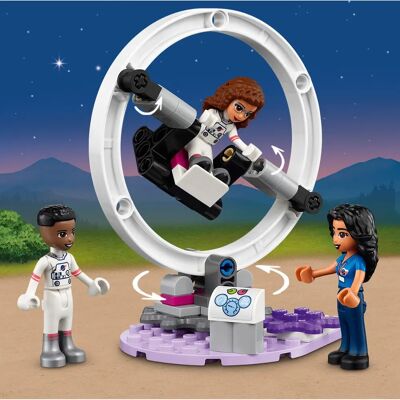 LEGO 41713 LEGO 41713