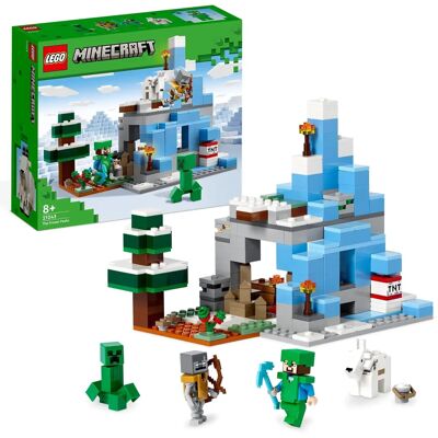 LEGO 21243 LEGO 21243