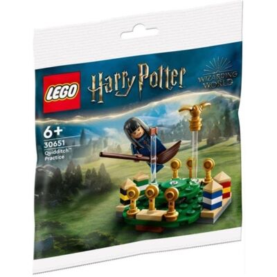 LEGO 30651 Harry Potter Quidditch Practice - Bauspiel LEGO 30651 Harry Potter Quidditch Practice - Bauspiel