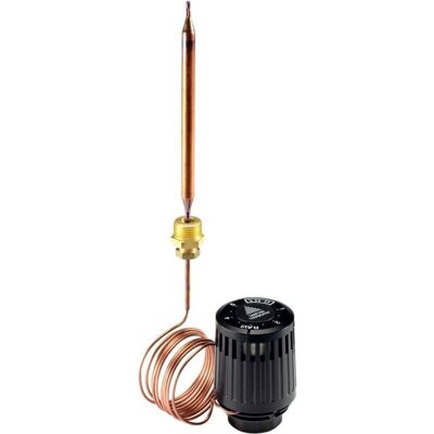 Danfoss RAVK 25-65°C Elemento Termostatico - Controllo Piccolo Scaldabagno Danfoss RAVK 25-65°C Elemento Termostatico - Controllo Piccolo Scaldabagno