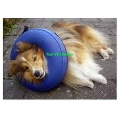 KRUUSE Cuello Inflable para Perro - Collar para Mascotas KRUUSE Cuello Inflable para Perro - Collar para Mascotas