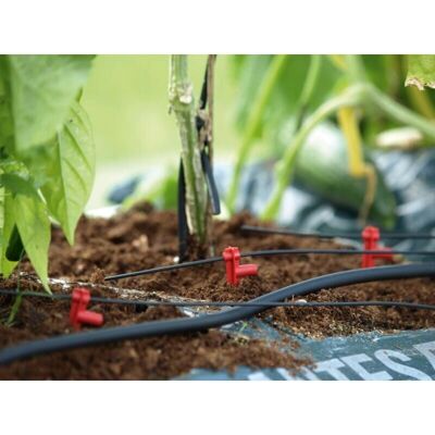 Système d'Irrigation Ajustable VITAVIA - Vert - Jusqu'à 150 Goutteurs - Publicité Système d'Irrigation Ajustable VITAVIA - Vert - Jusqu'à 150 Goutteurs - Publicité
