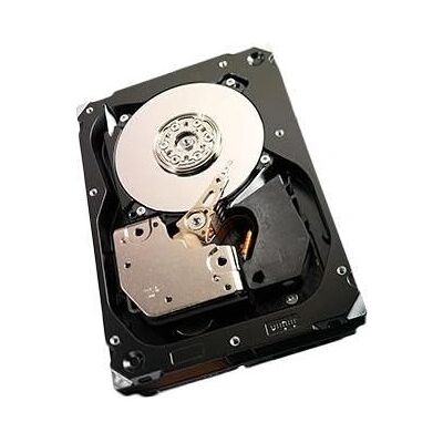 Interne harde schijf 600GB 15K SAS - Ernitec Interne harde schijf 600GB 15K SAS - Ernitec