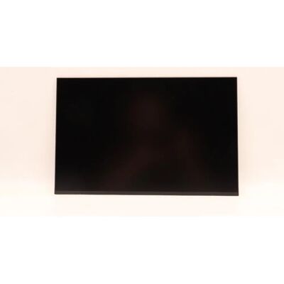 Lenovo 14,0" WUXGA Ag LCD Display - LCD Display Lenovo 14,0" WUXGA Ag LCD Display - LCD Display
