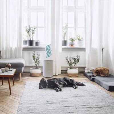 Eeese Emil - Kompakt affugter med tørrefunktion & Stille 40m² Eeese Emil - Kompakt affugter med tørrefunktion & Stille 40m²