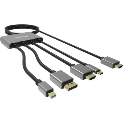 Sandberg All-In-1 Display Adapter Hub - 4K HDMI DisplayPort USB-C - Publicité Sandberg All-In-1 Display Adapter Hub - 4K HDMI DisplayPort USB-C - Publicité