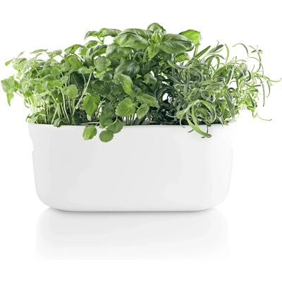 Eva Solo Selbstbewässernder Herb-Organisator - Weiß - Keramik Eva Solo Selbstbewässernder Herb-Organisator - Weiß - Keramik