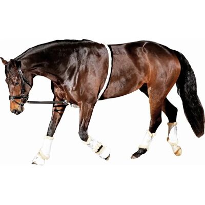 HorseGuard Soft Longeringshjelp - Beige - HorseGuard - Weiche Verlängerungen für Pferde HorseGuard Soft Longeringshjelp - Beige - HorseGuard - Weiche Verlängerungen für Pferde