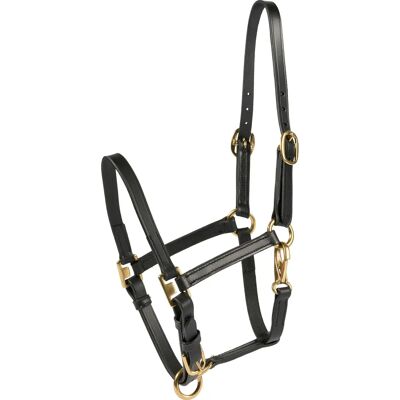HorseGuard Cheval Fölgrimma - Schwarz - Halter HorseGuard Cheval Fölgrimma - Schwarz - Halter