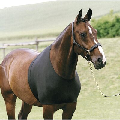 HorseGuard XL Unterwäsche - Untertrøja - Schwarz HorseGuard XL Unterwäsche - Untertrøja - Schwarz