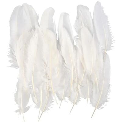 CC Hobby Modèle 51674 - Plumes - 15cm, Blanc, 70 pièces CC Hobby Modèle 51674 - Plumes - 15cm, Blanc, 70 pièces