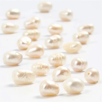 CC Hobby Perlas de agua dulce - Madre perla 4mm, 40cm CC Hobby Perlas de agua dulce - Madre perla 4mm, 40cm