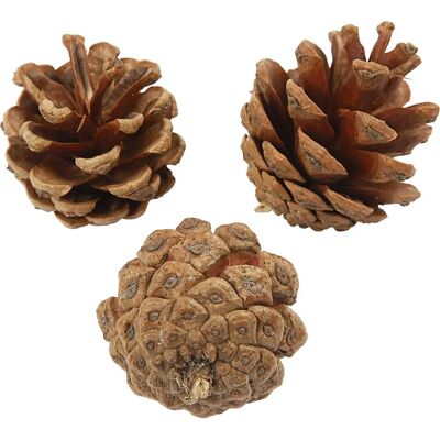 Creativ Company 50226 Ornamento di Natale - Marrone - Ornamento di Natale Creativ Company 50226 Ornamento di Natale - Marrone - Ornamento di Natale