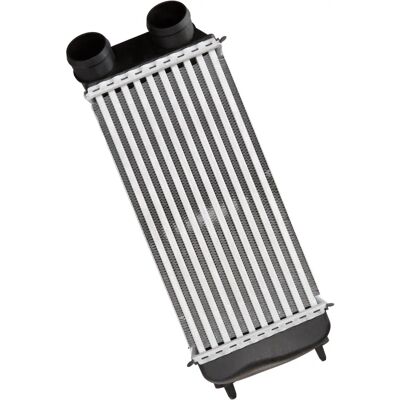 NISSENS 96638 Intercooler - Luft & Vand, Uden EGR-ventil, PEUGEOT 206 CC/3/5P/ SW NISSENS 96638 Intercooler - Luft & Vand, Uden EGR-ventil, PEUGEOT 206 CC/3/5P/ SW