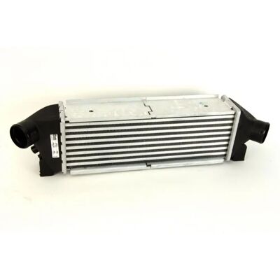 NISSENS Intercooler til Transit Mk5 - Luftkølet - 96642 NISSENS Intercooler til Transit Mk5 - Luftkølet - 96642
