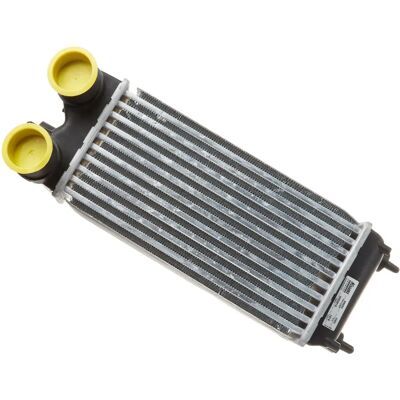 Intercooler NISSENS 96553 - Luft-Luft, Vatten-Luft, Ford Fiesta 6, B-Max, Transit Courier Van Intercooler NISSENS 96553 - Luft-Luft, Vatten-Luft, Ford Fiesta 6, B-Max, Transit Courier Van