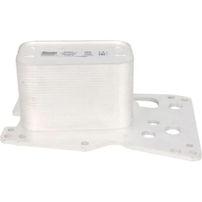 Nissens 90907 Refroidisseur d'huile à eau pour BMW Série 3 F30 F34 Nissens 90907 Refroidisseur d'huile à eau pour BMW Série 3 F30 F34