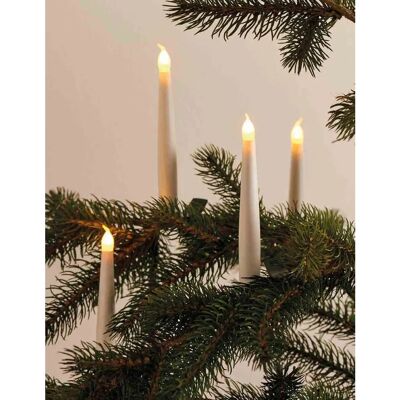 Sirius - Carolin - 4 lampadine - catena LED Sirius - Carolin - 4 lampadine - catena LED