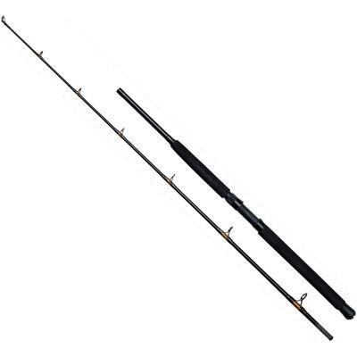 Kinetic Powercore Cc Fishing Rod - 2.02 m, 100-400 g, Durable Versatile Kinetic Powercore Cc Fishing Rod - 2.02 m, 100-400 g, Durable Versatile