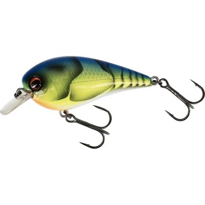 Westin Wobler BassBite 2.5 Squarebill Flytande 7cm - Fiskeutrustning Westin Wobler BassBite 2.5 Squarebill Flytande 7cm - Fiskeutrustning