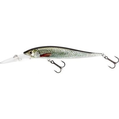 Westin JerkBite MR Suspending Lure - Real Roach Westin JerkBite MR Suspending Lure - Real Roach