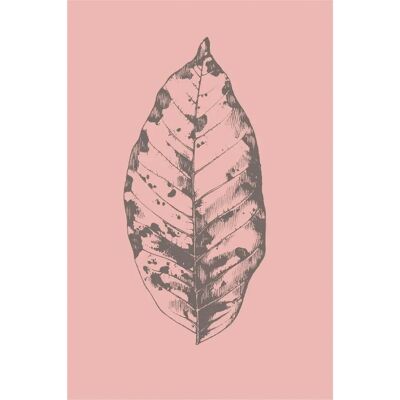 Malerifabrikken Botanica 1 Rosa Plakat - Plakat Malerifabrikken Botanica 1 Rosa Plakat - Plakat