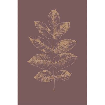 Malerifabrikken Botanica 2 Plakat - Rød - 70x100cm Malerifabrikken Botanica 2 Plakat - Rød - 70x100cm