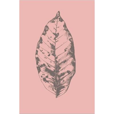 Malerifabrikken Botanica 1 - Rosa - Plakat - 70X100 Malerifabrikken Botanica 1 - Rosa - Plakat - 70X100