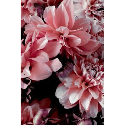 Malerifabrikken Opulent 9 - Plakat - 70x100 - Rosa Malerifabrikken Opulent 9 - Plakat - 70x100 - Rosa