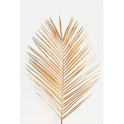Malerifabrikken Palmleaf gold Plakat - 30X40 - Gull Malerifabrikken Palmleaf gold Plakat - 30X40 - Gull