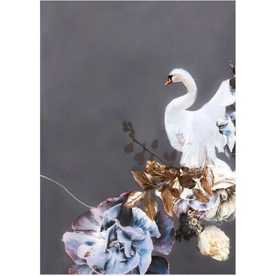 Malerifabrikken Swan Gold 1 Grå Plakat - Plakat Malerifabrikken Swan Gold 1 Grå Plakat - Plakat