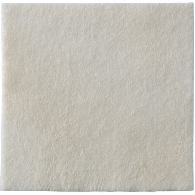 Coloplast Biatain Alginate Argento Cerotto per Ferite - Cerotto per Ferite Coloplast Biatain Alginate Argento Cerotto per Ferite - Cerotto per Ferite