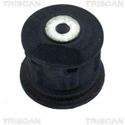 TRISCAN 16815 Supporto dell'asse - Sospensione TRISCAN 16815 Supporto dell'asse - Sospensione