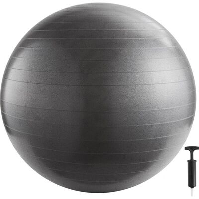 Schou InShape Treningsball 65 cm - Sølv - Treningsball med Pumpe Schou InShape Treningsball 65 cm - Sølv - Treningsball med Pumpe