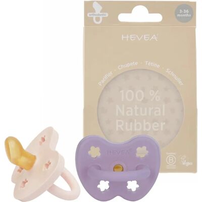 Hevea Sutteflaske - 2 Pakker - Naturlig Gummi - Rosa/Lilla - 3-36 måneder Hevea Sutteflaske - 2 Pakker - Naturlig Gummi - Rosa/Lilla - 3-36 måneder