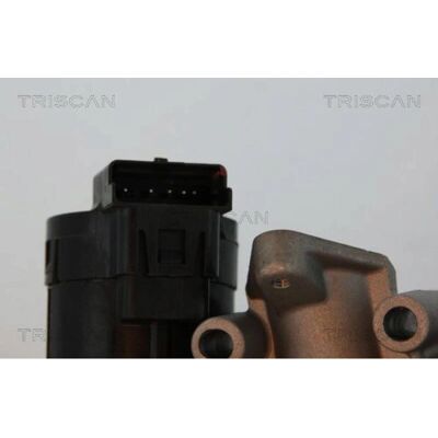 TRISCAN 8813 10001 Elektrisk EGR-ventil med pakninger - EGR-ventil TRISCAN 8813 10001 Elektrisk EGR-ventil med pakninger - EGR-ventil