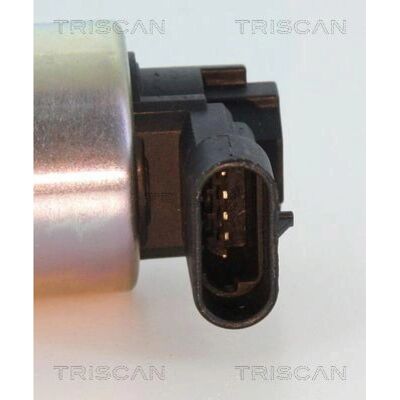 Valvola EGR in alluminio TRISCAN 8813 24010 - Ricambio motore Valvola EGR in alluminio TRISCAN 8813 24010 - Ricambio motore