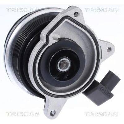 Triscan 8600 29062 Wasserpumpe - Fahrzeugkompatibilität Triscan 8600 29062 Wasserpumpe - Fahrzeugkompatibilität