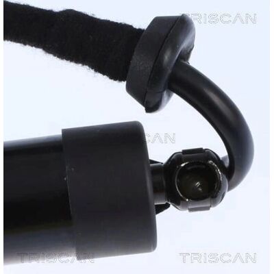 Triscan Gasfeder - VW Touareg Heckklappe Triscan Gasfeder - VW Touareg Heckklappe