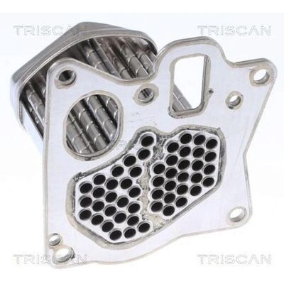 TRISCAN 8813 24107 EGR Køler - Radiator til EGR-ventil Uden Pakninger TRISCAN 8813 24107 EGR Køler - Radiator til EGR-ventil Uden Pakninger