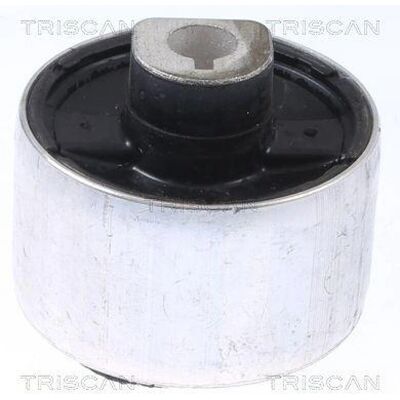TRISCAN 25877 Silent Bloc De Suspension - Steuerarm TRISCAN 25877 Silent Bloc De Suspension - Steuerarm