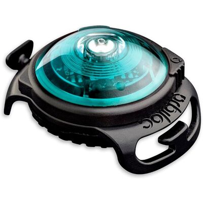 Lampe de Sécurité pour Chien Orbiloc - Turquoise - Publicité Lampe de Sécurité pour Chien Orbiloc - Turquoise - Publicité