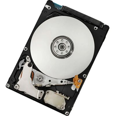 IBM - 42D0708 - 500 GB - 2.5 NL-SAS Hard Drive IBM - 42D0708 - 500 GB - 2.5 NL-SAS Hard Drive