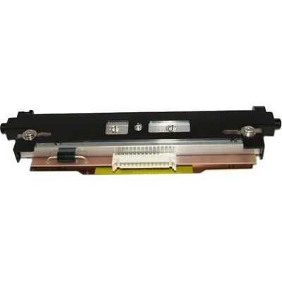 Testina di Stampa Citizen Cl-S531 Cl-S631 Clp-631 Termico Testina di Stampa Citizen Cl-S531 Cl-S631 Clp-631 Termico