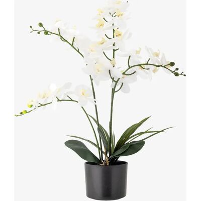 Bloomingville Orchid Kunstplante - Grønn - Tidløs Skjønnhet Bloomingville Orchid Kunstplante - Grønn - Tidløs Skjønnhet