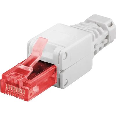 Connecteur de câble MicroConnect KON520TL - RJ-45 Blanc Connecteur de câble MicroConnect KON520TL - RJ-45 Blanc